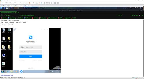 网络安全 制作 windows 和 linux 客户端恶意软件进行渗透