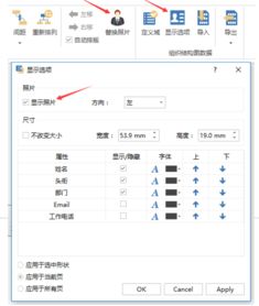 向知道用什么软件编辑公司组织结构图最好,最好是附上教程