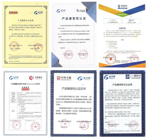 金万维 国产化替代吹响冲锋号,传统软件如何快速落地到 国产化 环境中